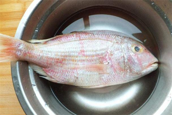 加吉鱼是什么鱼,加吉鱼又叫什么鱼