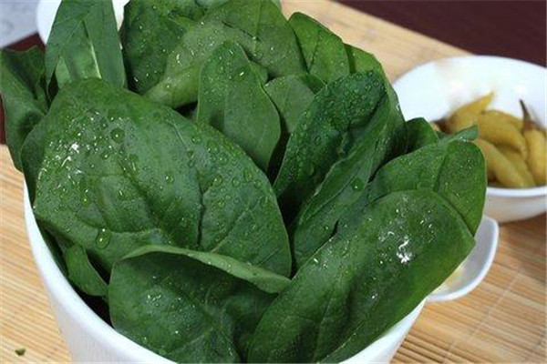 菠菜能和螃蟹一起吃吗?,螃蟹和菠菜可以一起吃吗 菠菜能和螃蟹一起吃吗?,螃蟹和菠菜可以一起吃吗