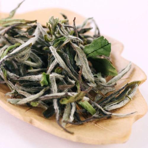 白牡丹茶的功效和作用价格,牡丹白茶的功效