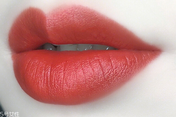 雅诗兰黛333什么色号,雅诗兰黛333什么色调