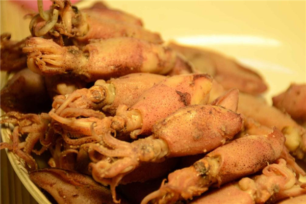 海兔子怎么去内脏视频,海兔子怎么去内脏