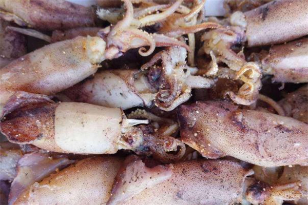 海兔怎么做好吃又简单,海兔子的做法大全家常