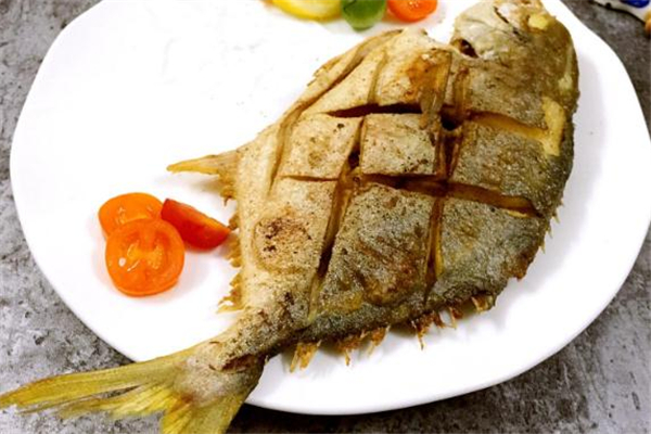 金鲳鱼的图片,金鲳鱼一般多大