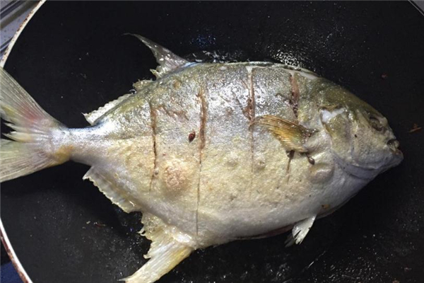 金鲳鱼怎么去腥味,如何去除鲳鱼的腥味 金鲳鱼怎么去腥味,如何去除鲳鱼的腥味