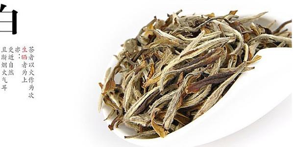 白牡丹茶产于哪里,白牡丹茶产地在哪里 白牡丹茶产于哪里,白牡丹茶产地在哪里