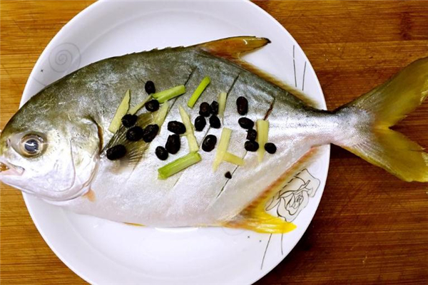 白鲳鱼多少钱一斤2021,海白鲳鱼多少钱一斤