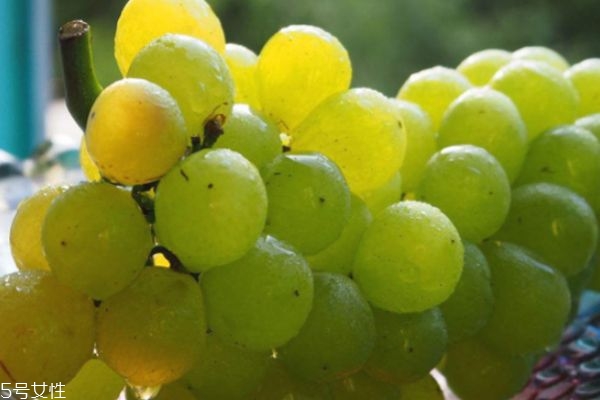 吃了没洗的葡萄怎么办,吃完葡萄肚子疼怎么回事