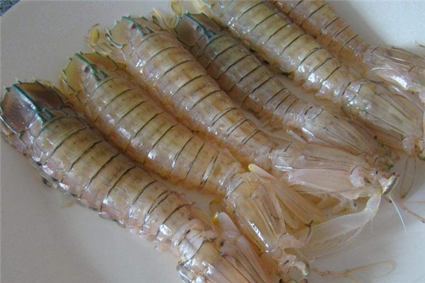 琵琶虾不能和什么一起吃,吃琵琶虾不能吃啥