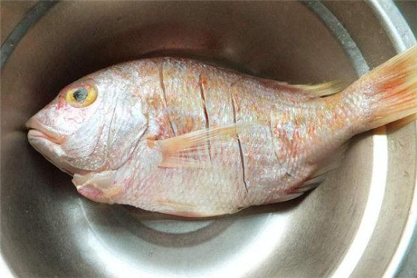 孕妇能吃加吉鱼吗,孕妇可以吃加吉鱼吗