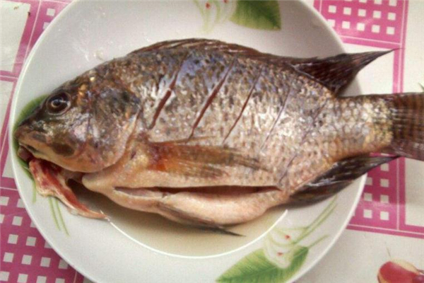 罗非鱼的烹饪方法,怎么做罗非鱼好吃又简单 罗非鱼的烹饪方法,怎么做罗非鱼好吃又简单