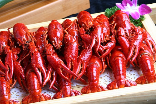 小龙虾怎样养殖小龙虾的养殖方法,怎么养殖小龙虾 小龙虾怎样养殖小龙虾的养殖方法,怎么养殖小龙虾