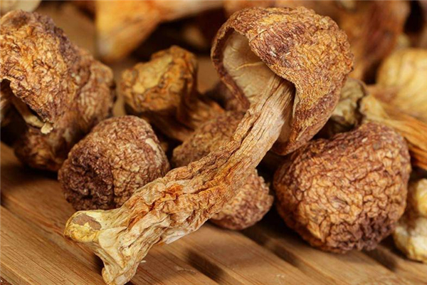 姬松茸有毒吗? 生吃松茸会中毒吗?,姬松茸没熟吃了会中毒吗 姬松茸有毒吗? 生吃松茸会中毒吗?,姬松茸没熟吃了会中毒吗