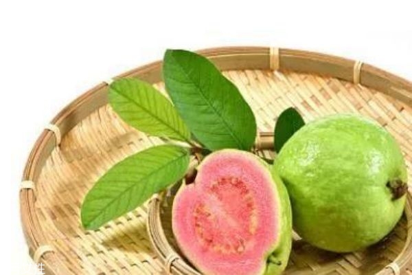 红心芭乐是什么味道,芭乐是什么味道