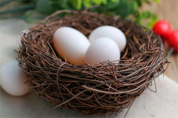 小朋友鸽子蛋可以天天吃吗,孕妇鸽子蛋可以天天吃吗