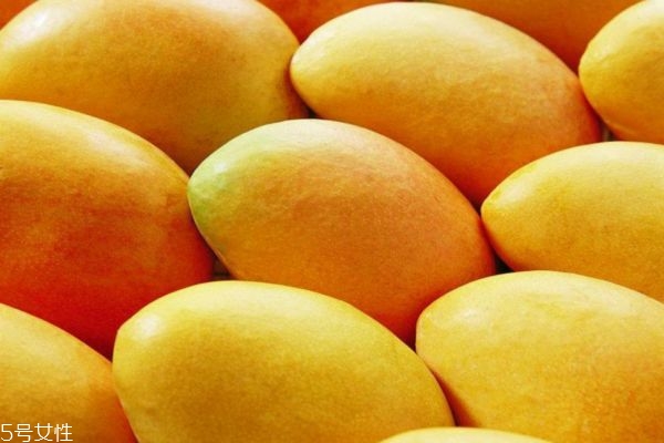 芒果有几个品种,芒果有什么品种