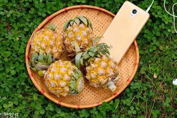 泰国小菠萝多少钱一斤,泰国小菠萝多少钱一个 泰国小菠萝多少钱一斤,泰国小菠萝多少钱一个
