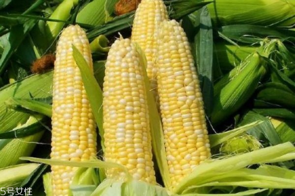 玉米须可以吃吗?有什么功效?,玉米须有什么功效和作用