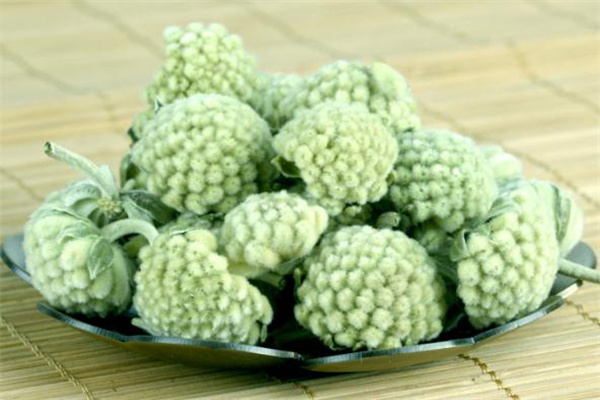 孕妇能喝绿萝花茶吗,绿萝花孕妇可以喝吗