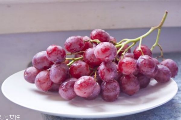 提子是热带水果吗,提子是热性水果吗