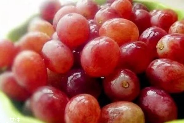 葡萄提子品种,提子和葡萄哪个好