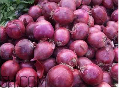 哪些人不能吃洋葱(哪些人不能吃洋葱?)