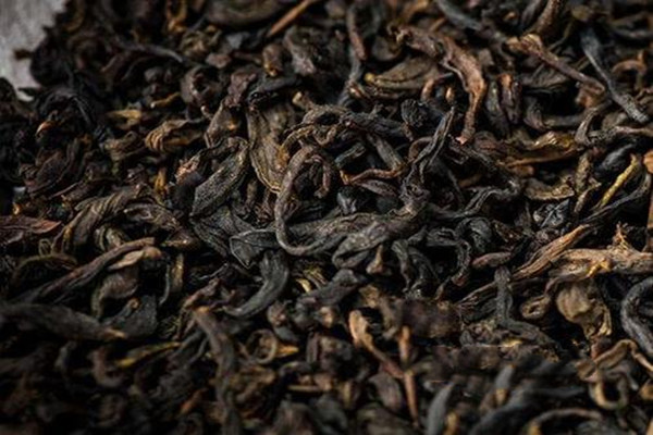 贡尖是什么茶,贡茶味道怎么样