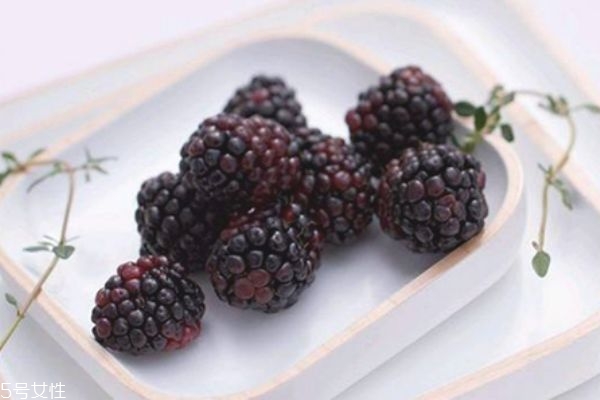 桑葚干里有虫子怎么办,怎么洗桑葚一泡全是虫子 桑葚干里有虫子怎么办,怎么洗桑葚一泡全是虫子