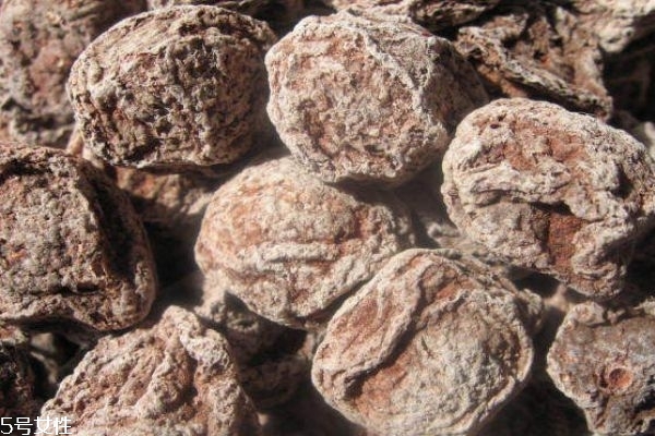 话梅是什么梅做的,话梅是什么梅