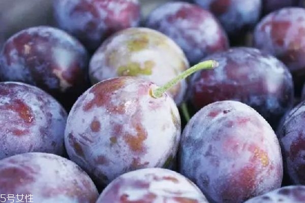 西梅和乌梅的区别是什么,西梅和乌梅是一种吗