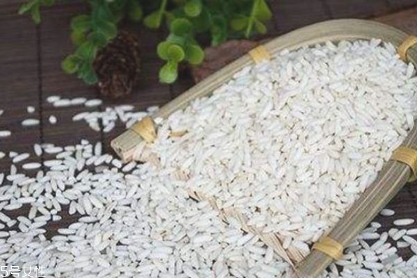 包粽子可以用大米吗?,大米能包粽子吗