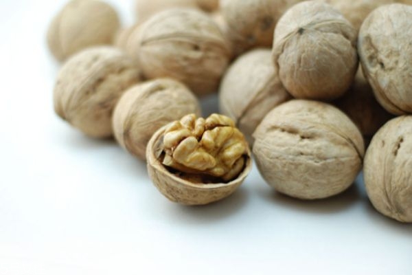 核桃吃多了有什么害处吗?,核桃吃的过多有什么害处