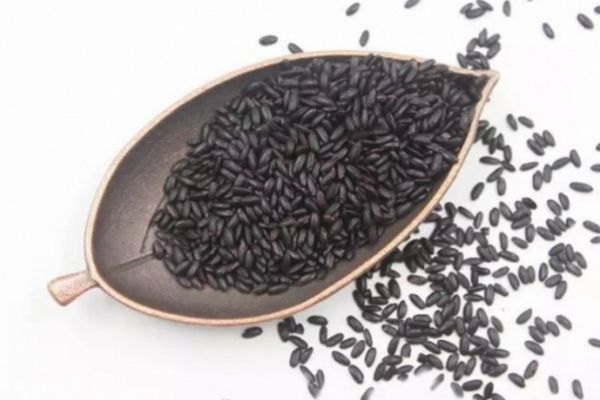 黑米怎么辨别真假图片,黑米怎么辨别真假