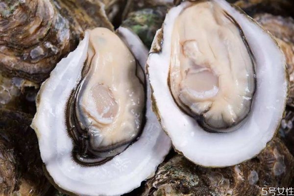 生蚝怎么做最好吃又简单,生蚝怎么吃最好 生蚝怎么做最好吃又简单,生蚝怎么吃最好