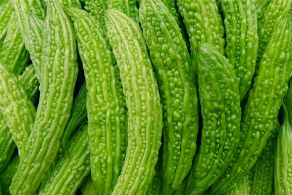 吃了苦瓜胃疼怎么快速缓解,吃了苦瓜胃不舒服是怎么回事 吃了苦瓜胃疼怎么快速缓解,吃了苦瓜胃不舒服是怎么回事