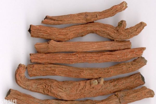 丹参泡水喝的好处,丹参泡水喝的好处和坏处