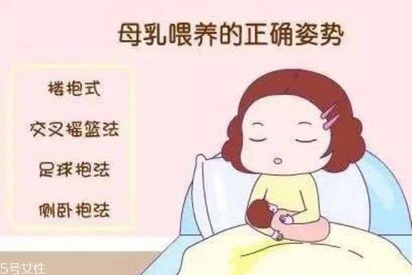 如何正确喂奶(如何正确喂奶粉姿势)