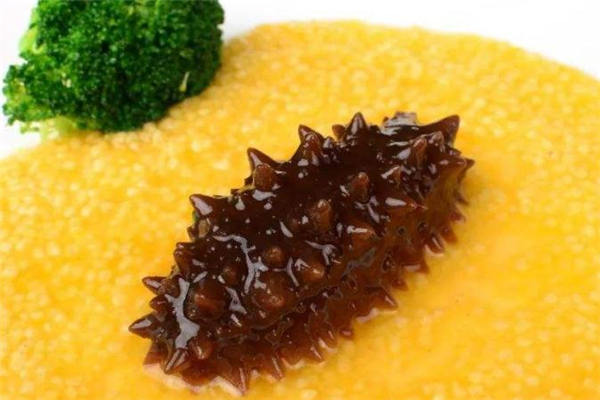 海参小米粥的做法大全,怎样做海参小米粥好喝