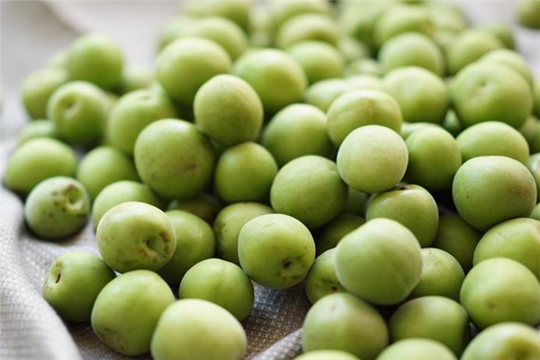 青梅几月份成熟上市,青梅几月份上市?