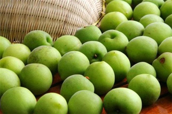 青梅可以生吃吗,青梅能直接吃吗