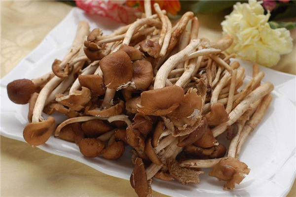 茶树菇为什么发苦,茶树菇发苦是怎么回事?