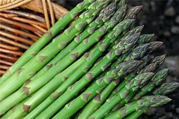 芦笋和茄子能一起吃吗?,芦笋和茄子可以一起吃吗