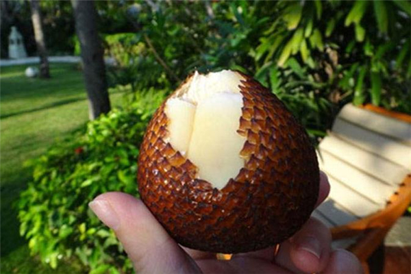 蛇皮果一天能吃几个,蛇果一天最多能吃几个?