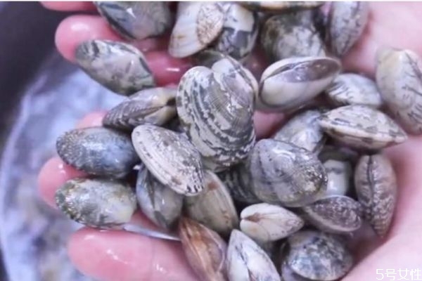 怎样挑选花甲新鲜的?,花甲挑选方法