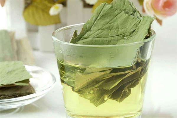 荷叶茶晚上能喝吗,过夜的荷叶茶能喝吗