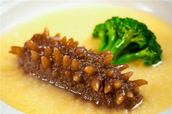 海参鲍鱼不能和什么一起吃,鲍鱼可以和海参一起煲汤吗 海参鲍鱼不能和什么一起吃,鲍鱼可以和海参一起煲汤吗