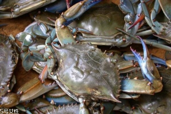 三门青蟹怎么做好吃又简单,三门青蟹怎么做好吃窍门