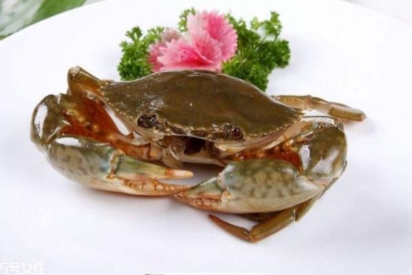 三门青蟹的营养价值及功效,三门青蟹的特点介绍