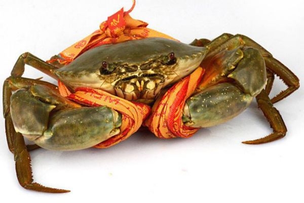 三门青蟹几月份上市,三门青蟹季节