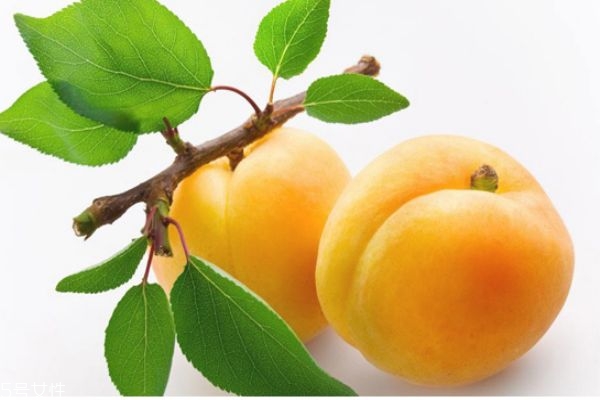 黄桃怎么挑选,黄桃怎么挑选好吃 黄桃怎么挑选,黄桃怎么挑选好吃