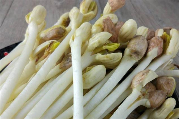 花生芽的做法大全 小炒 家常,花生苗怎么炒好吃的做法